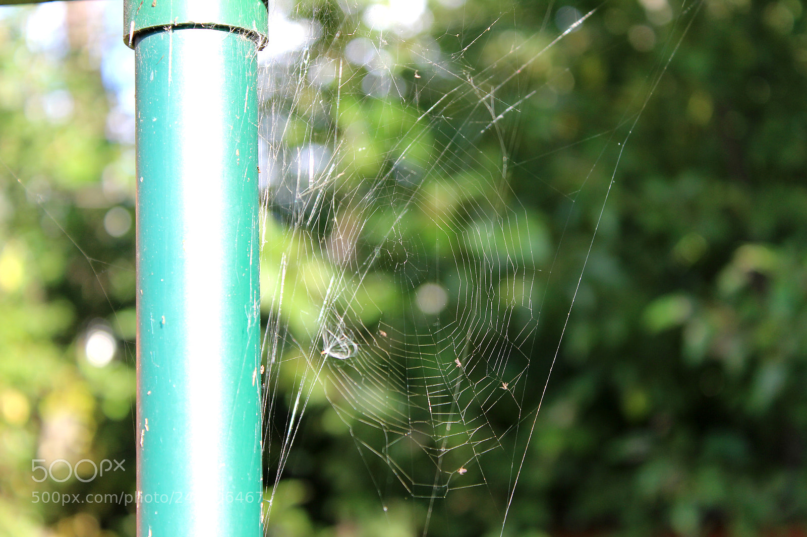 Canon EOS 600D (Rebel EOS T3i / EOS Kiss X5) sample photo. Img photography