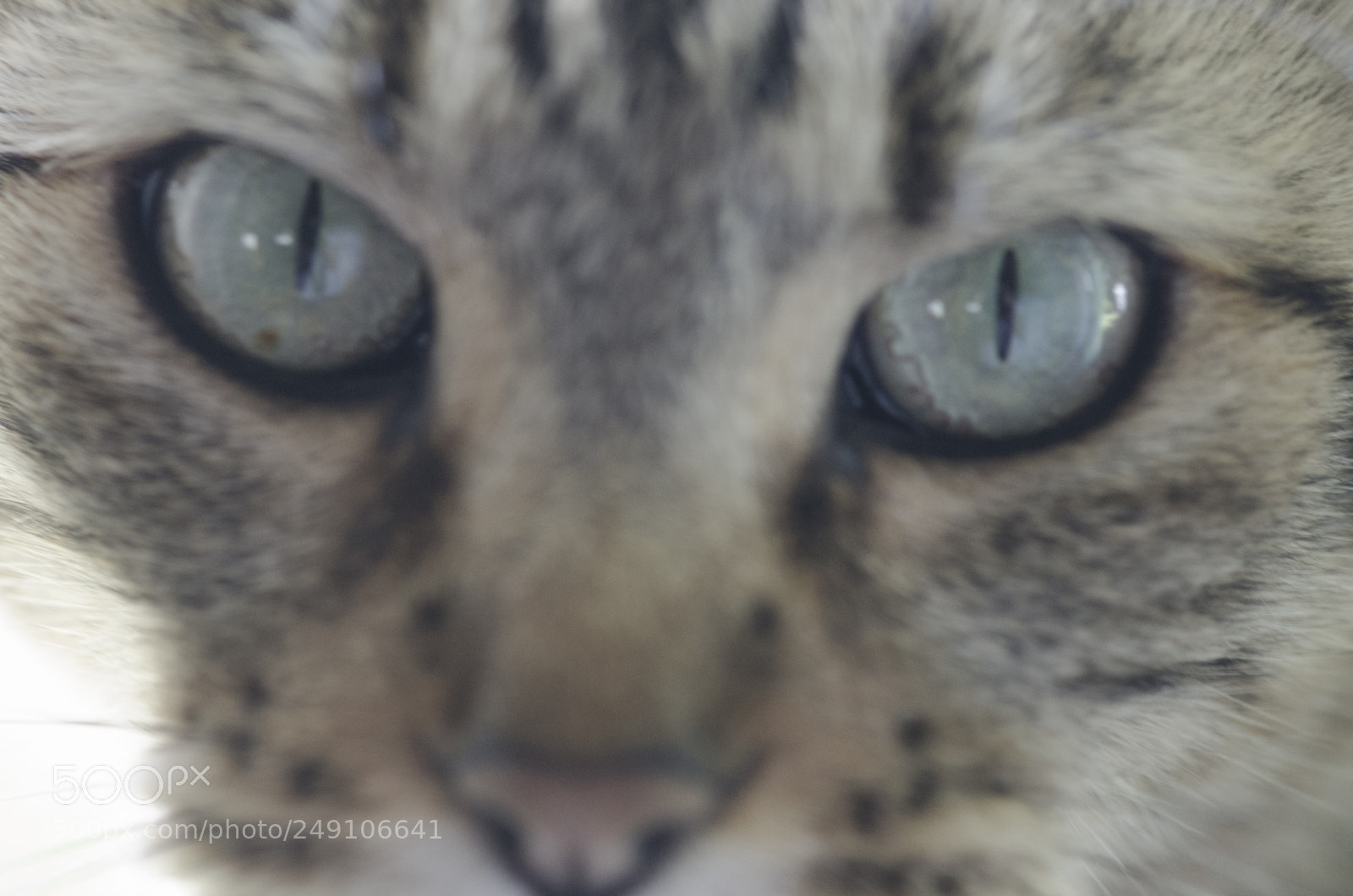 Nikon D7000 sample photo. Copiar photography