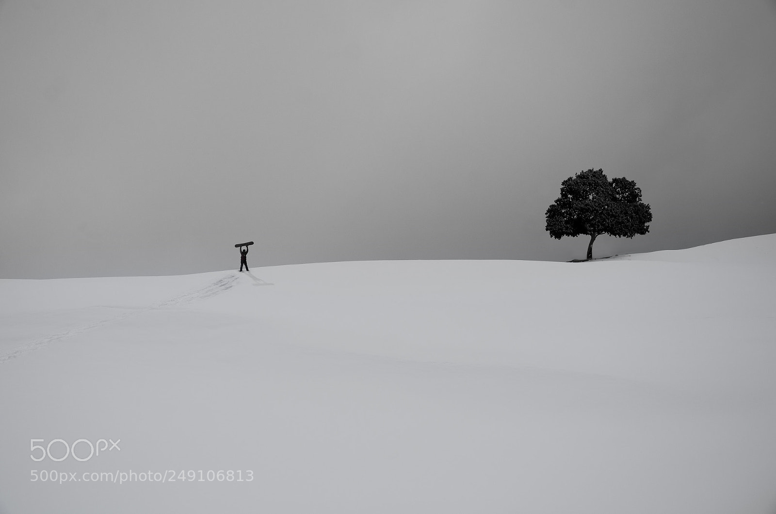 Nikon D7000 sample photo. White scene photography