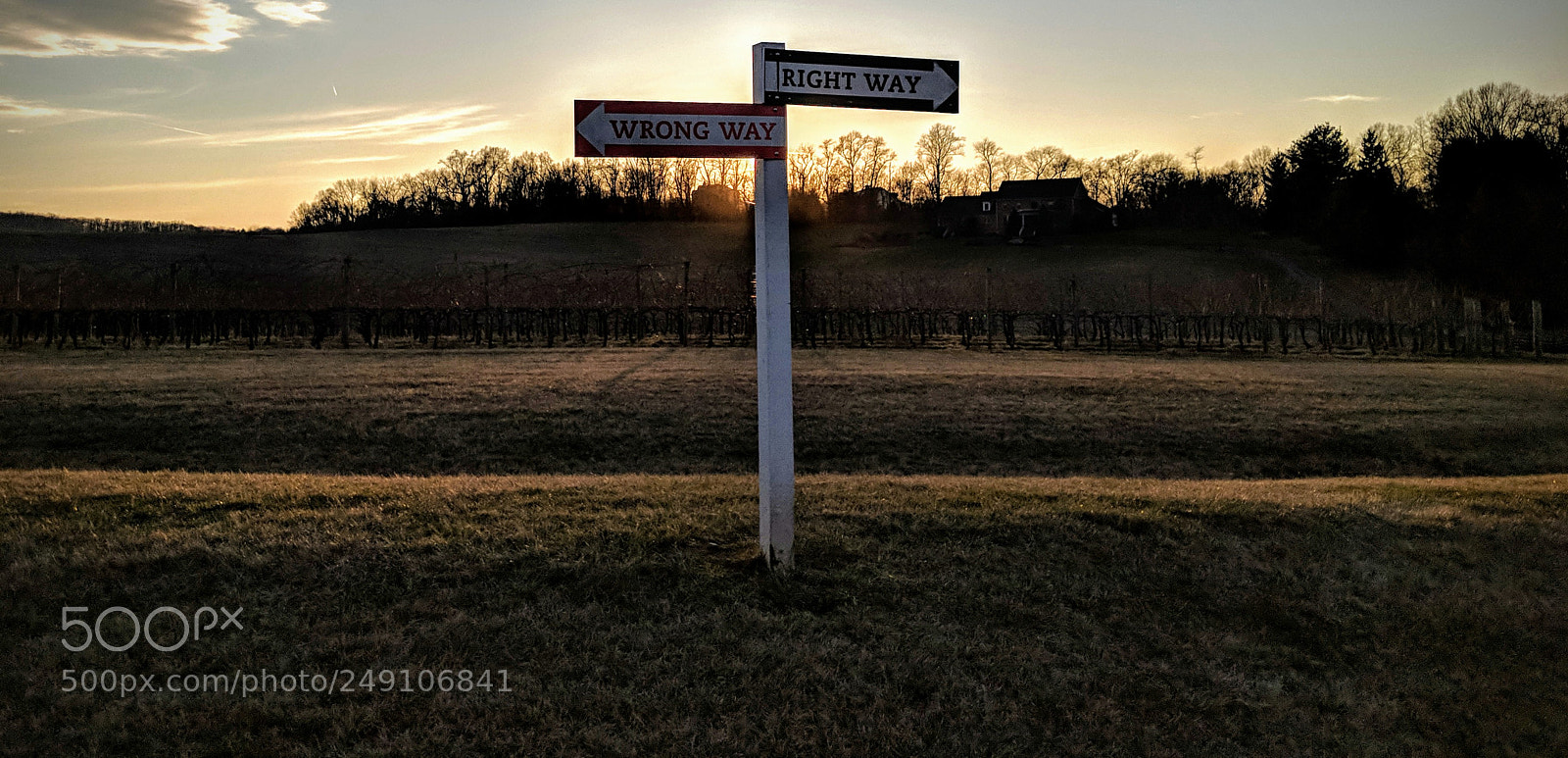 Google Pixel 2 sample photo. Choices photography