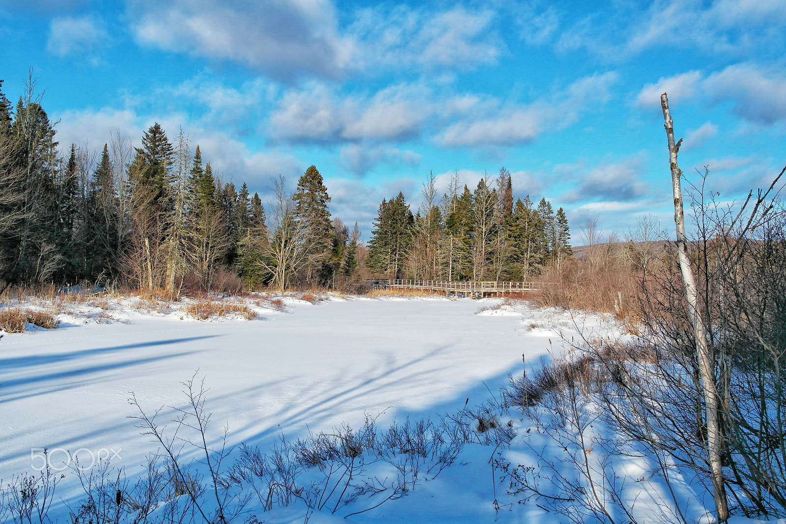 Samsung NX1000 sample photo. Saint-charles river photography