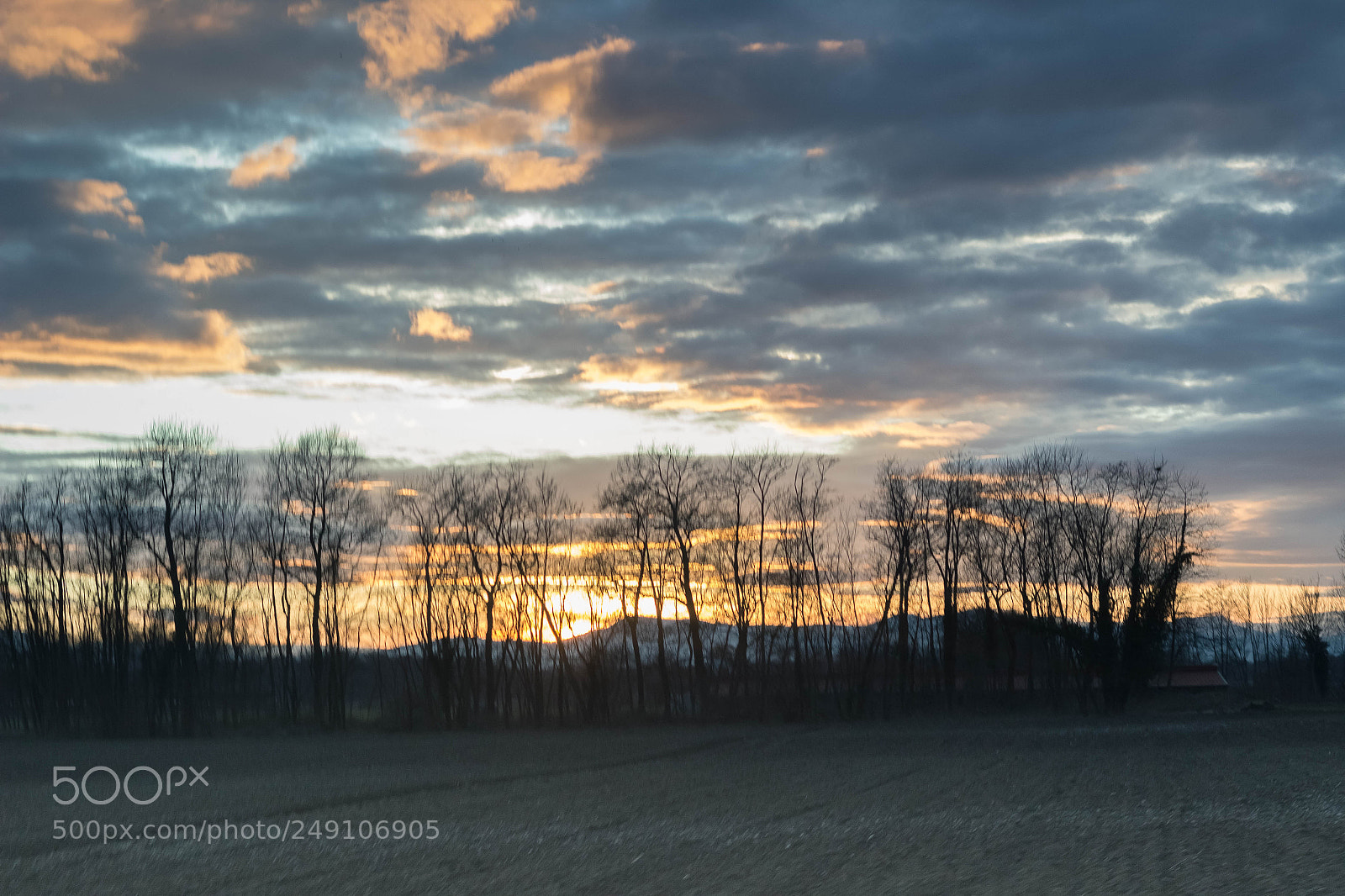 Canon EOS 600D (Rebel EOS T3i / EOS Kiss X5) sample photo. Campagne alsacienne photography