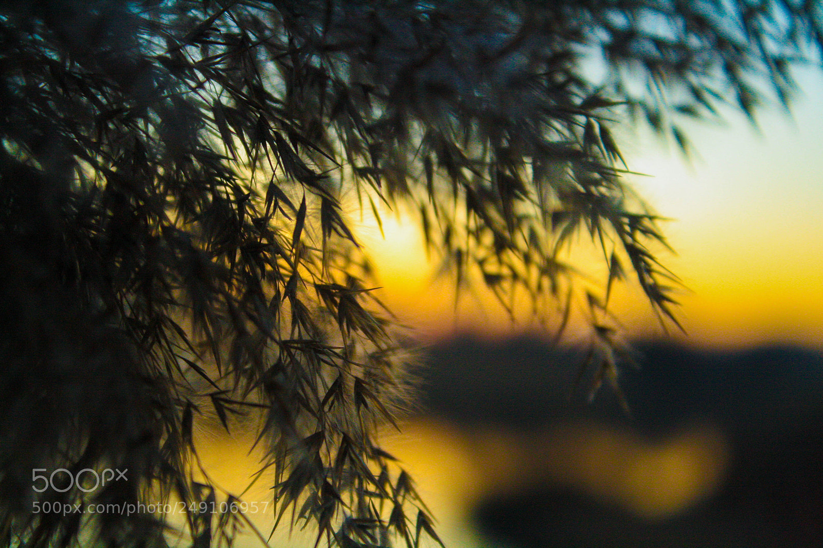 Canon EOS 1000D (EOS Digital Rebel XS / EOS Kiss F) sample photo. Sunset near danube photography