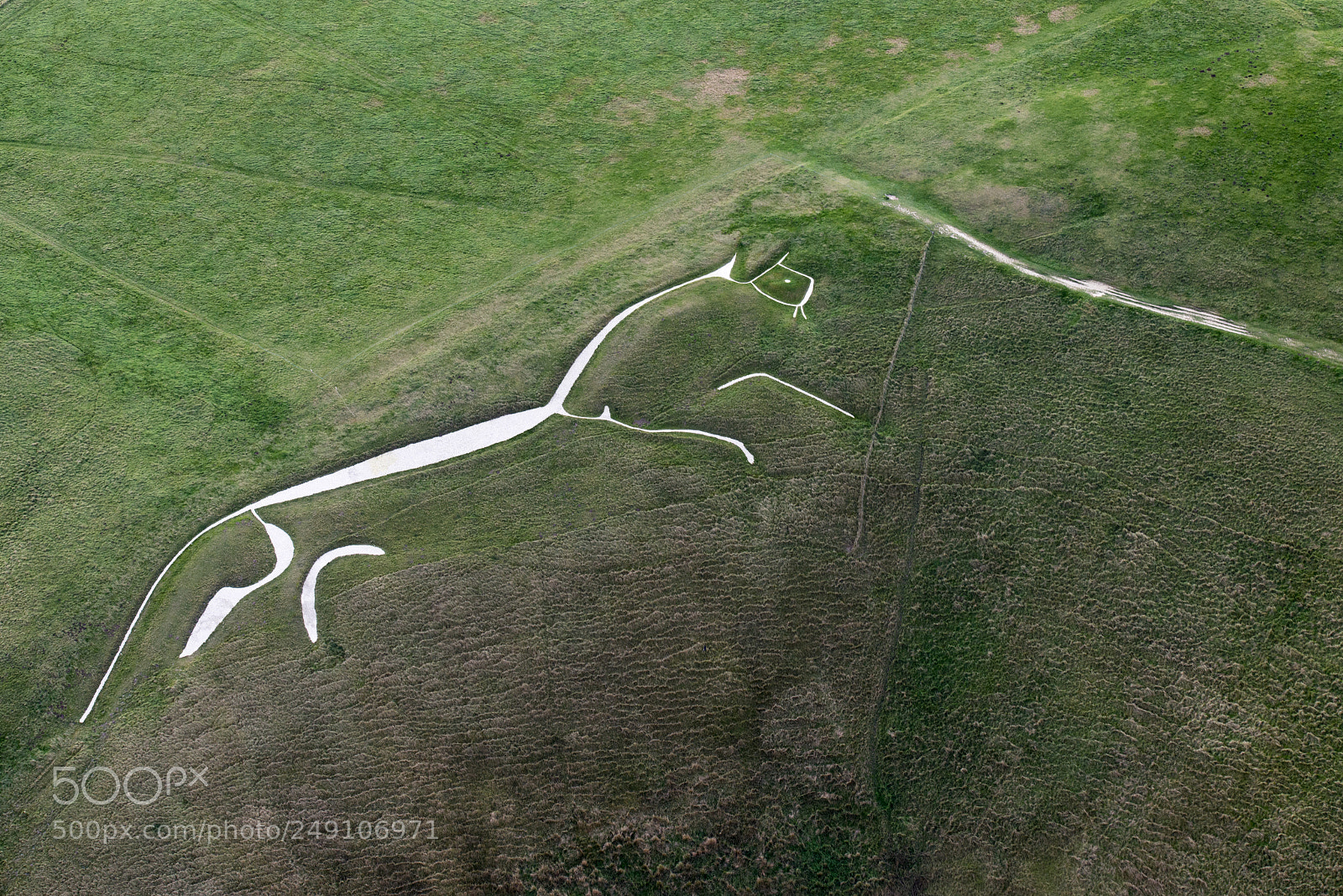 Nikon D800 sample photo. White horse hill photography