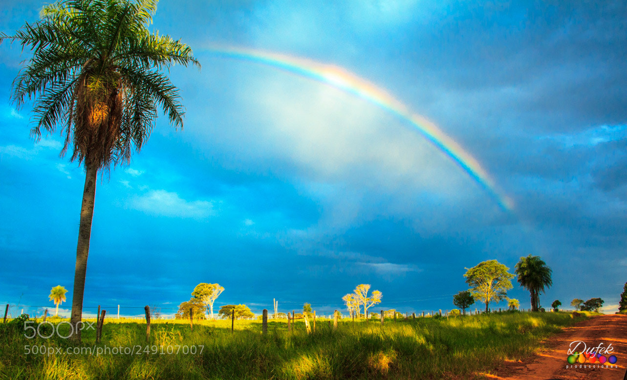Canon EOS 600D (Rebel EOS T3i / EOS Kiss X5) sample photo. Arco iris! photography