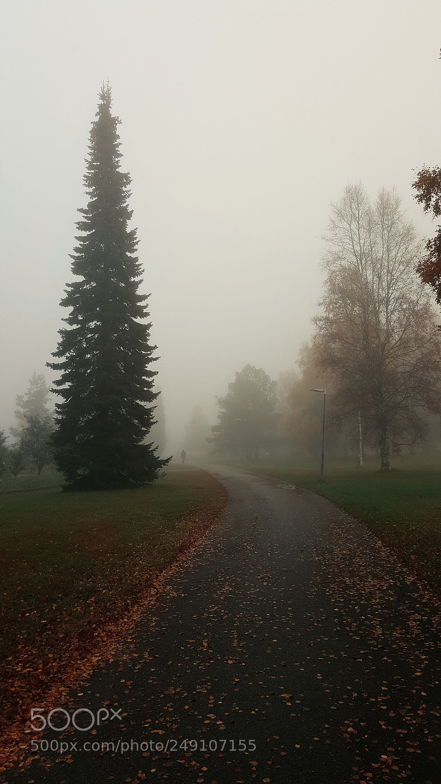 Samsung Galaxy S6 sample photo. Behind the fog photography