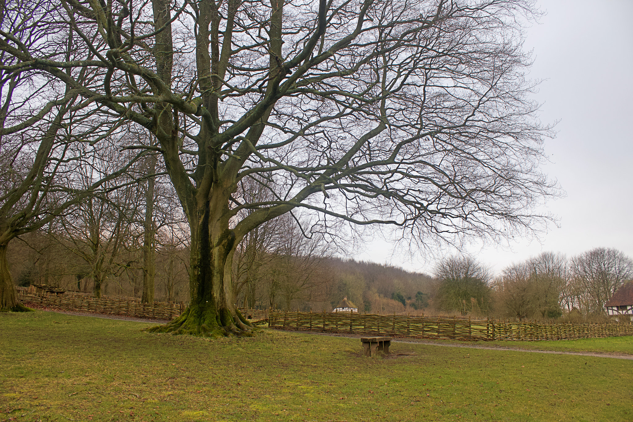 Canon EF-S 18-55mm F3.5-5.6 III sample photo. Weald and downland photography