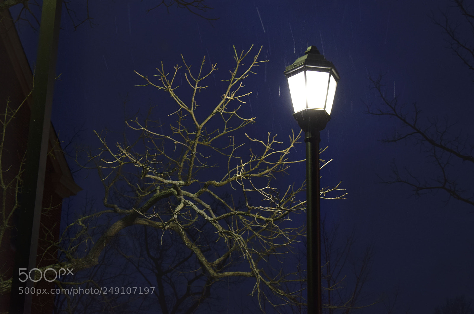 Nikon D3300 sample photo. Night photography