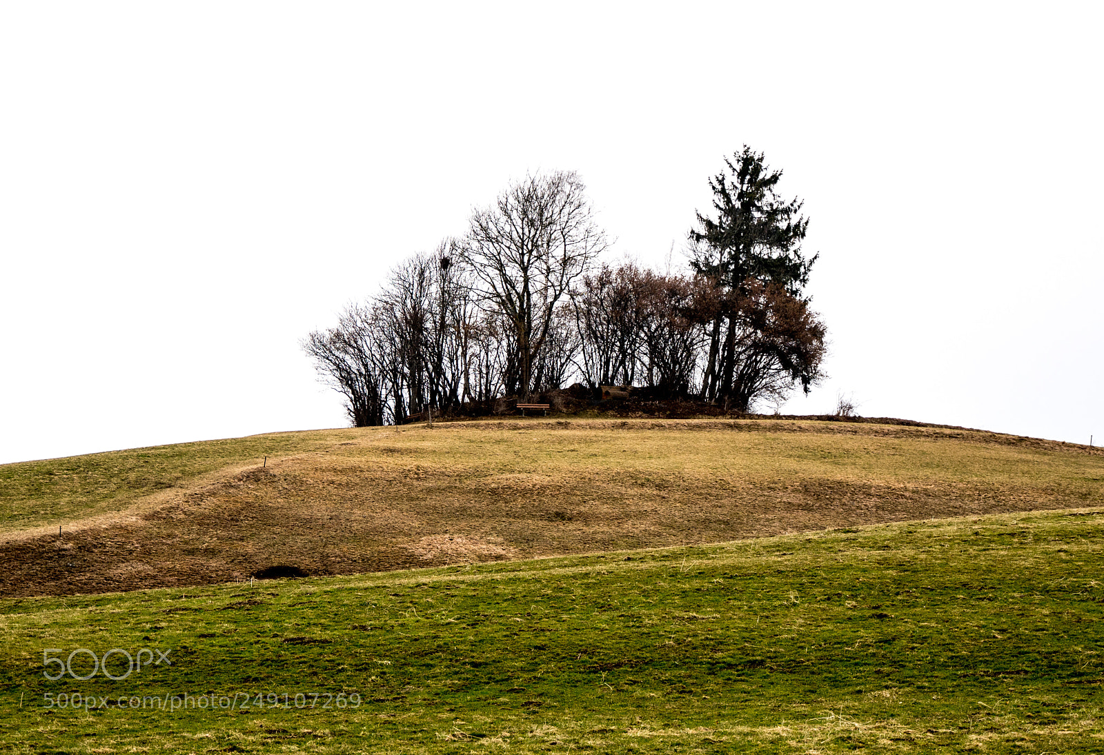 Panasonic DMC-G70 sample photo. Trees on a hilll photography
