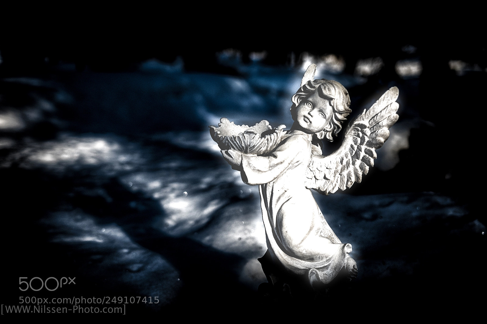 Nikon D500 sample photo. Angel photography