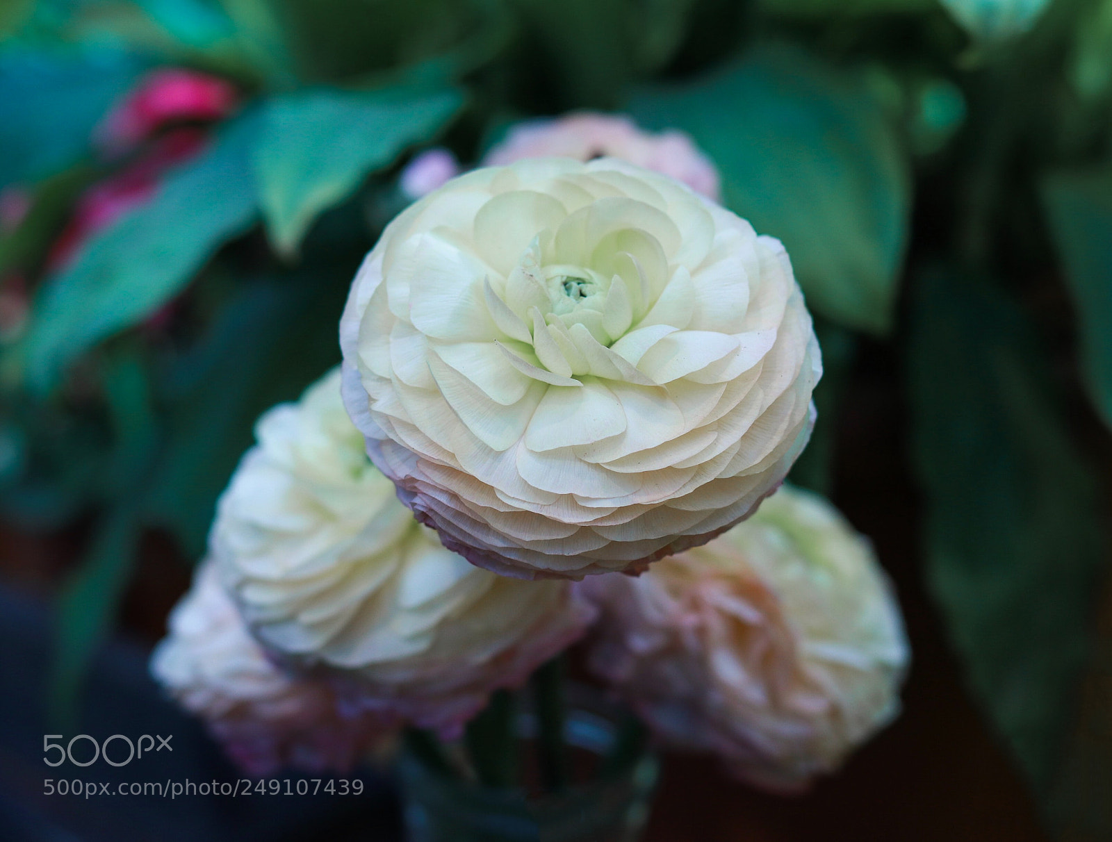 Canon EOS 80D sample photo. Untitled photography