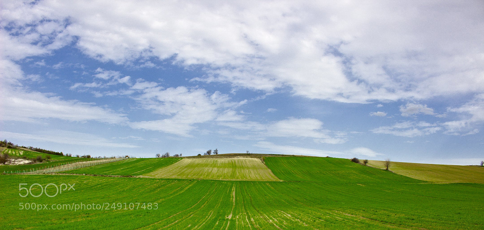 Canon EOS 100D (EOS Rebel SL1 / EOS Kiss X7) sample photo. Fields in green photography