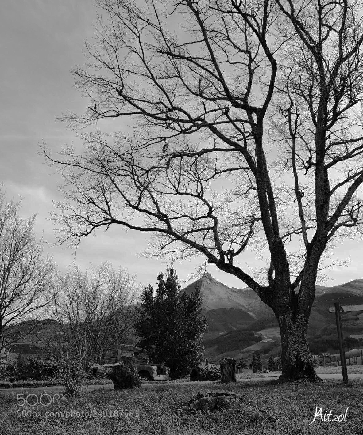 Fujifilm X-T20 sample photo. Untitled photography
