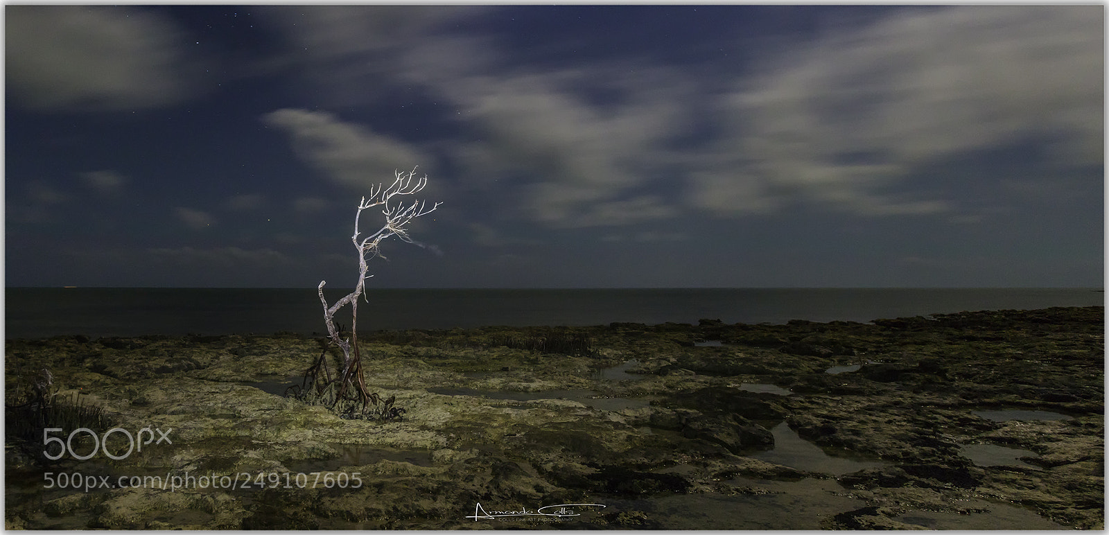 Canon EOS 5DS R sample photo. Copy photography