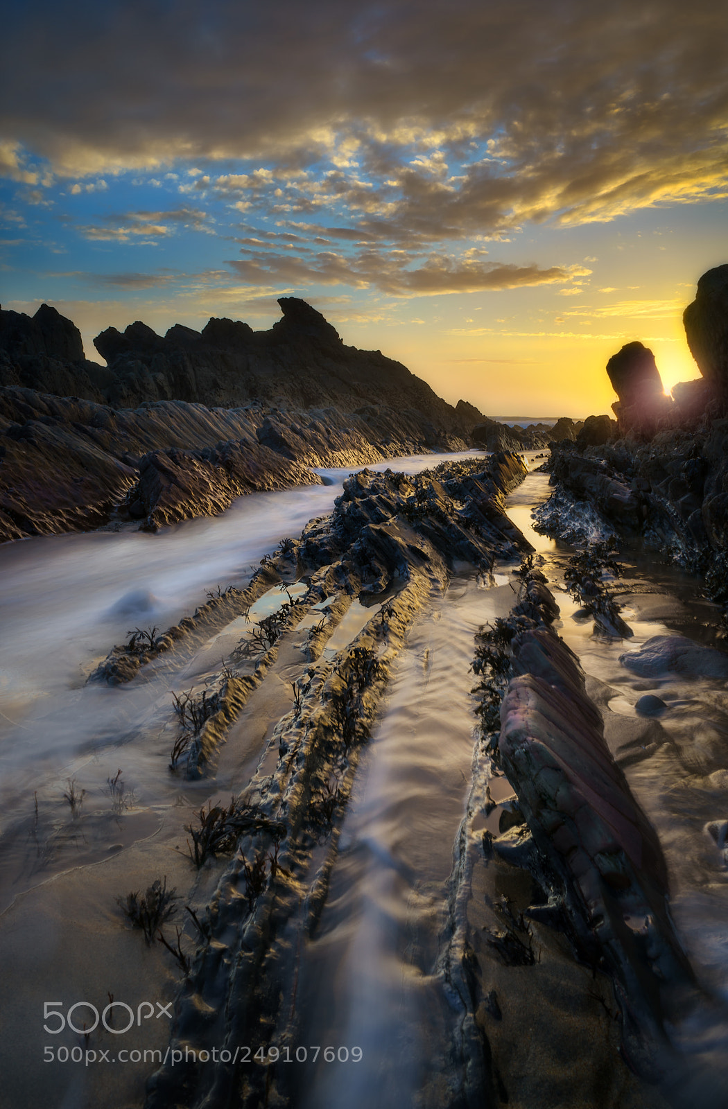 Sony a7 sample photo. Summerleaze sunset photography
