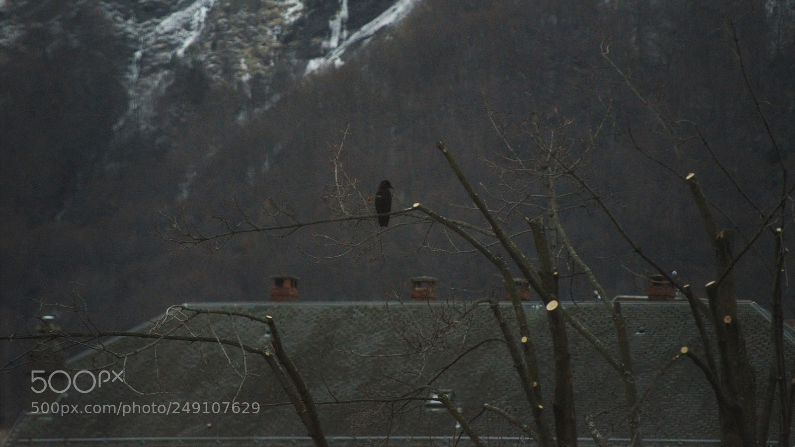 Nikon D3200 sample photo. Untitled photography