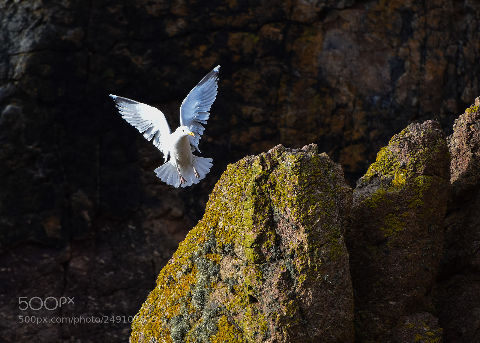 Nikon D3300 sample photo. Precision landing photography