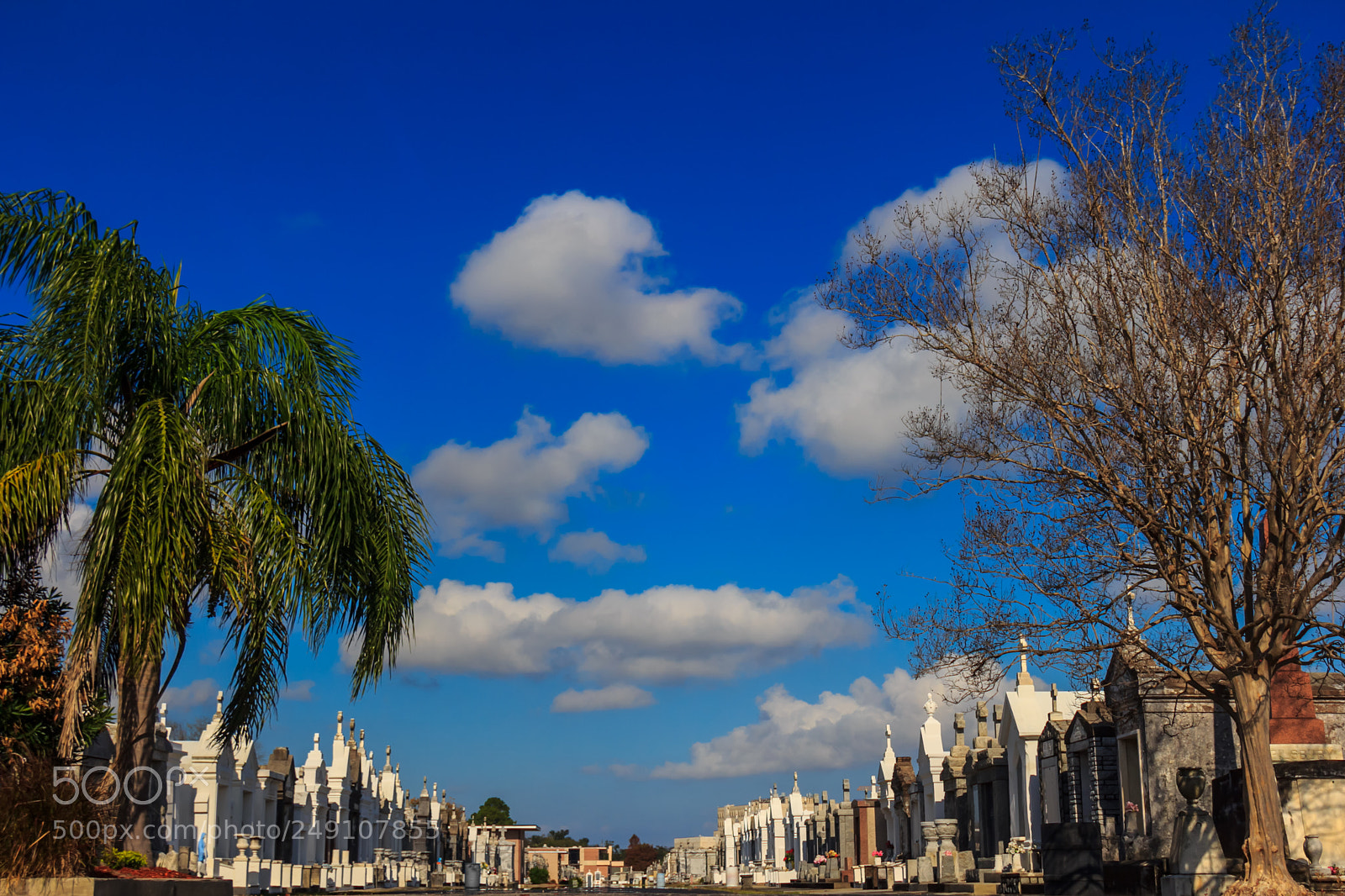 Canon EOS 60D sample photo. Spookshow photography