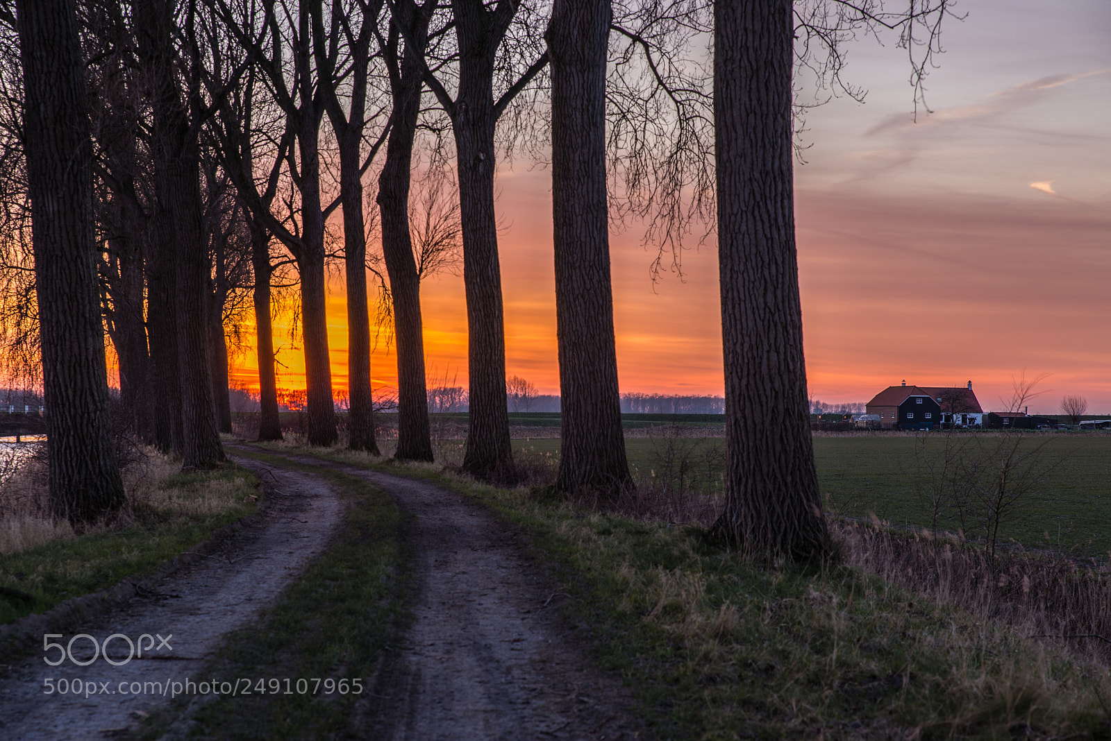 Nikon D610 sample photo. Sunset in zeeuws vlaanderen photography