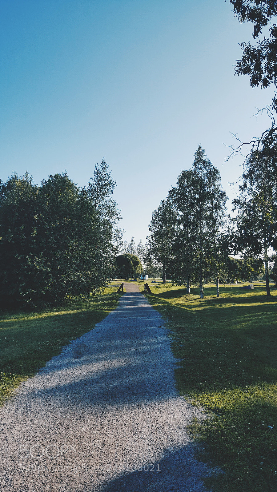 Samsung Galaxy S6 sample photo. Summer path photography