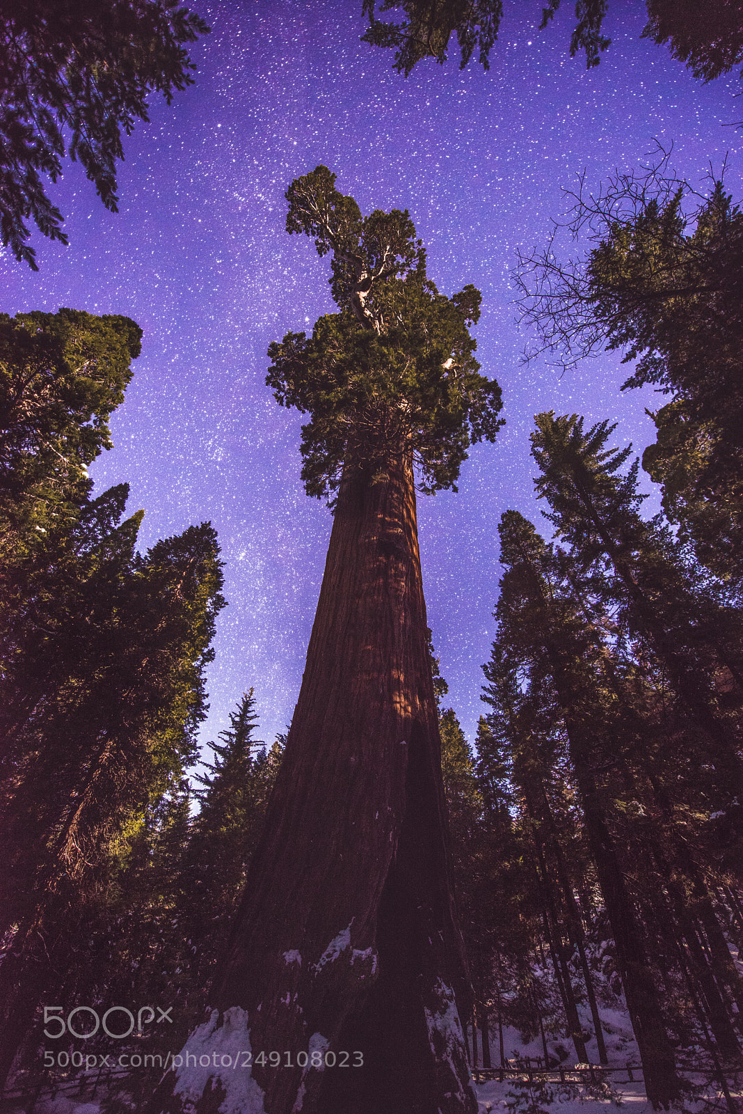 Nikon D800 sample photo. The heavens and the photography