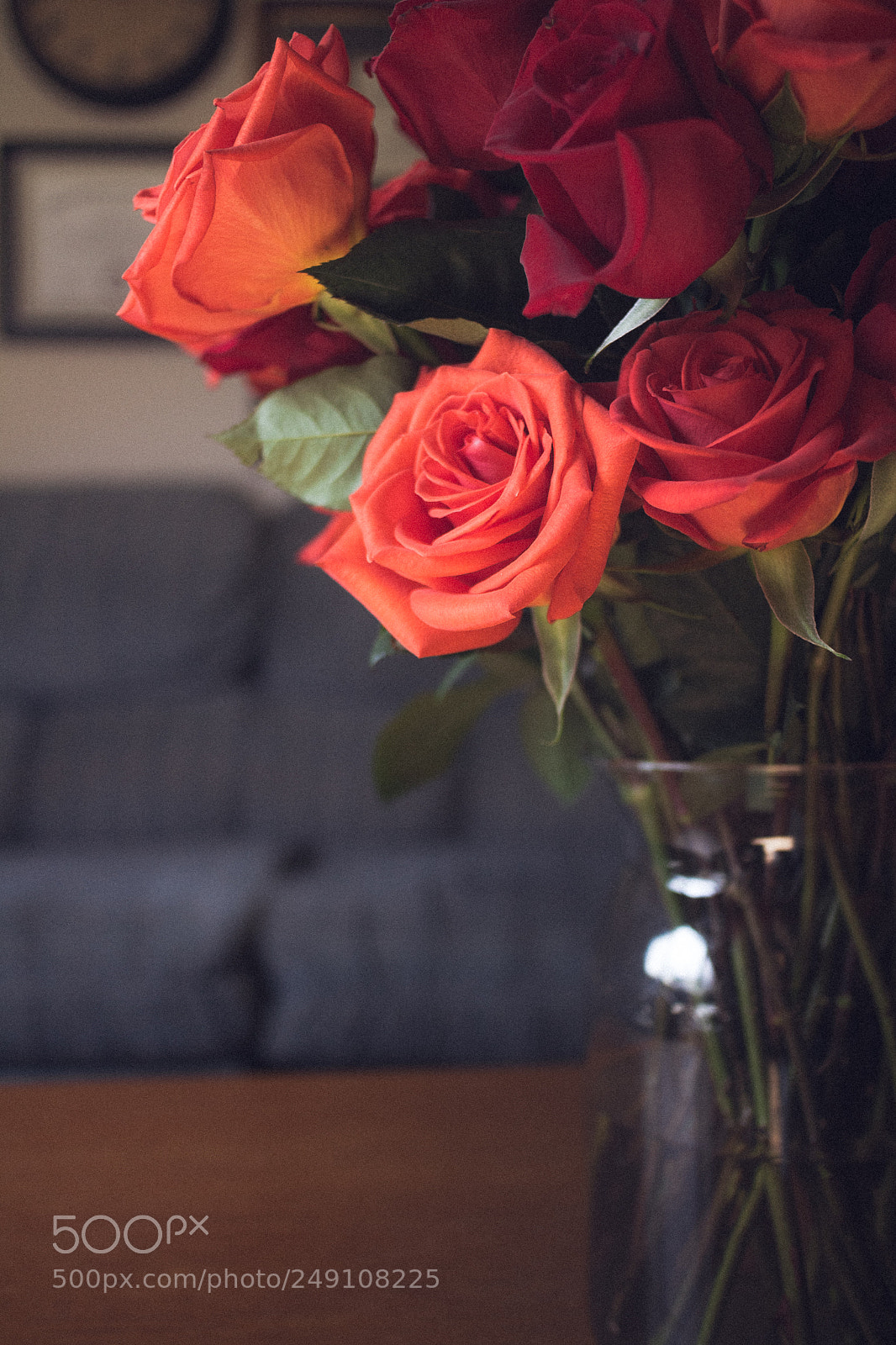 Canon EOS M sample photo. A loving home photography