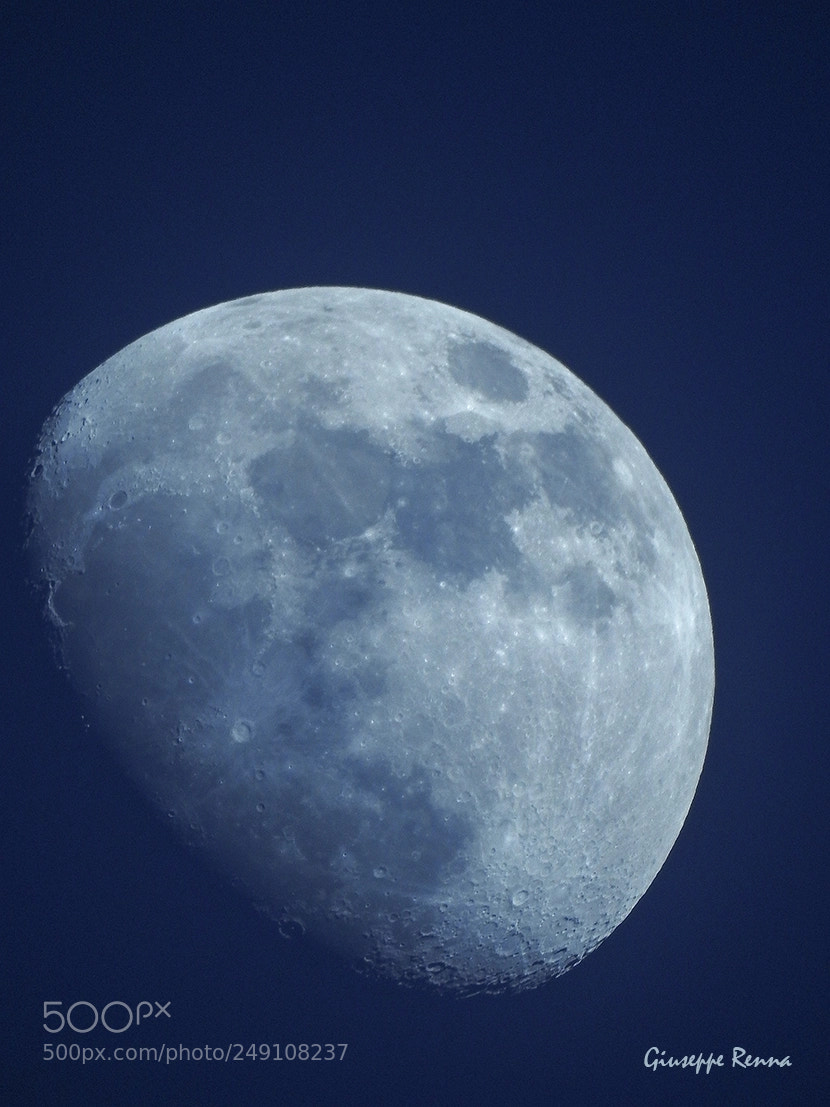 Nikon Coolpix P900 sample photo. Thw white moon photography