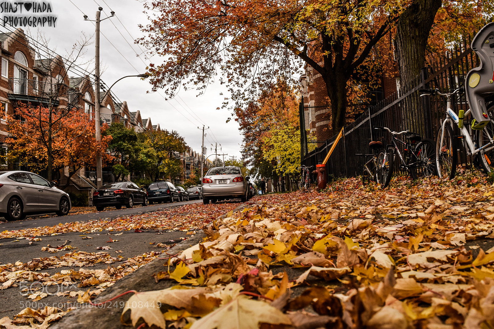 Nikon D5500 sample photo. Footpath photography