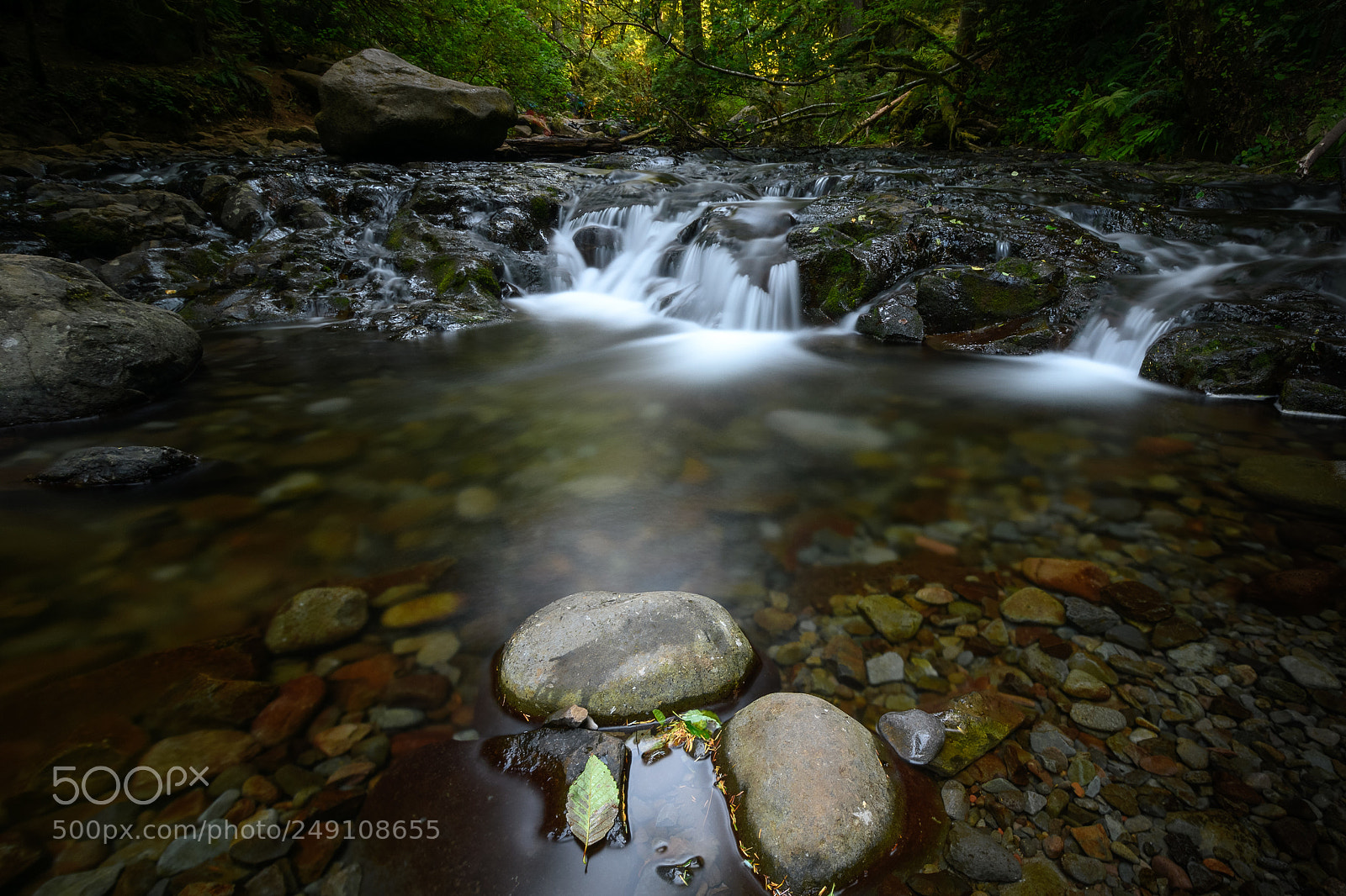 Nikon D7500 sample photo. Tranquility photography