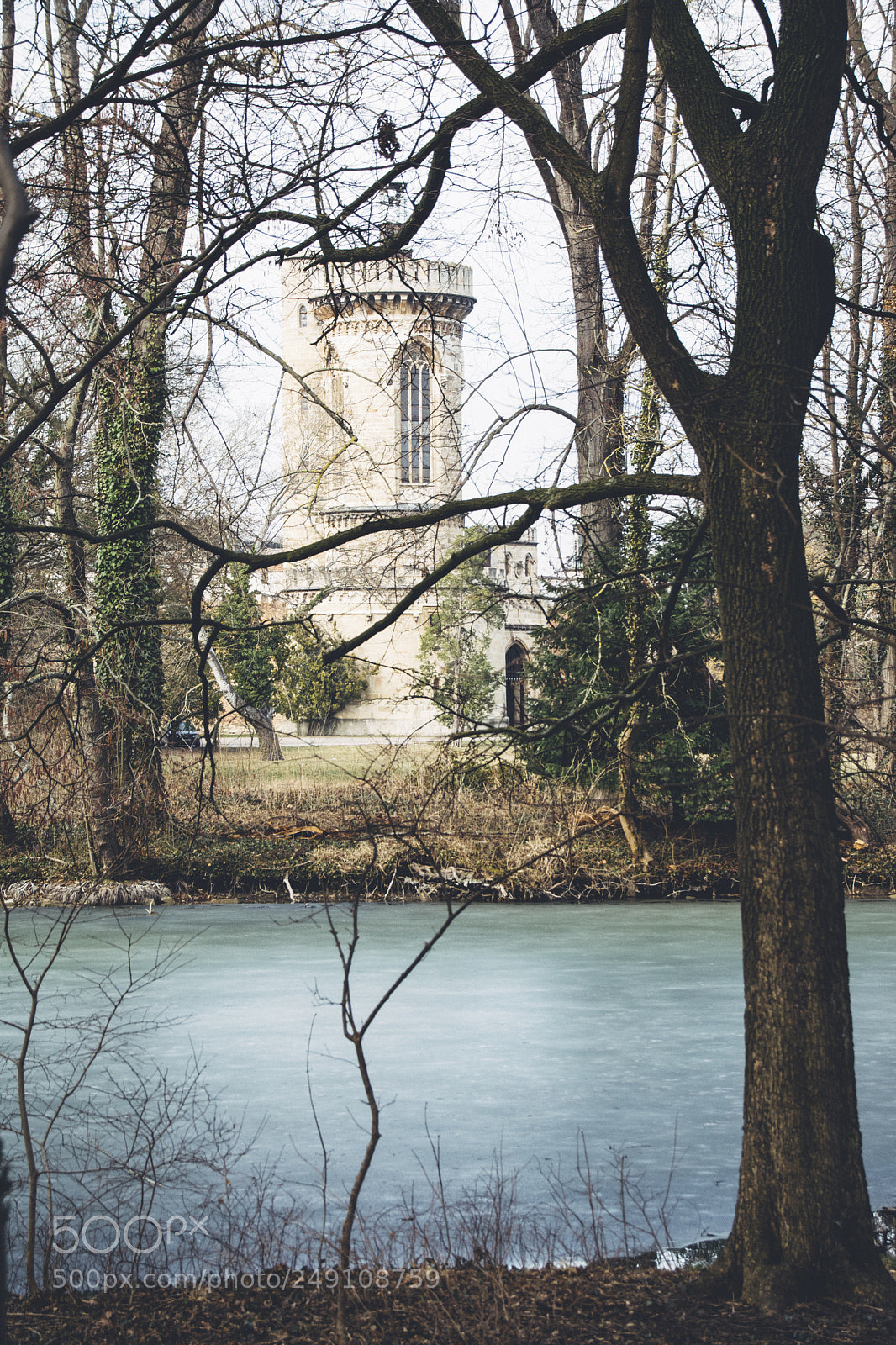Nikon D7100 sample photo. Rapunzel photography