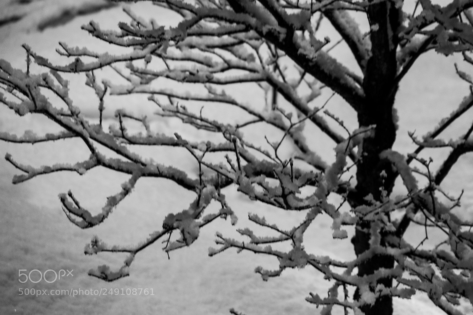 Sony a7 sample photo. L'hiver n'est pas fini photography