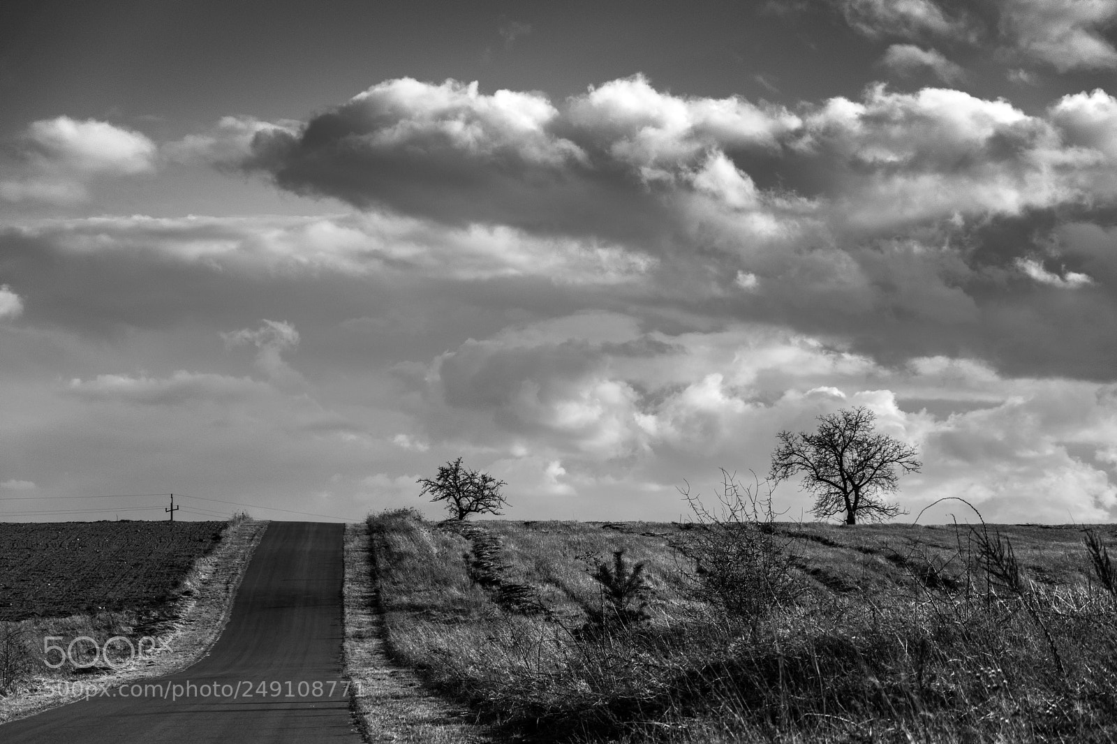 Nikon D5300 sample photo. Road photography