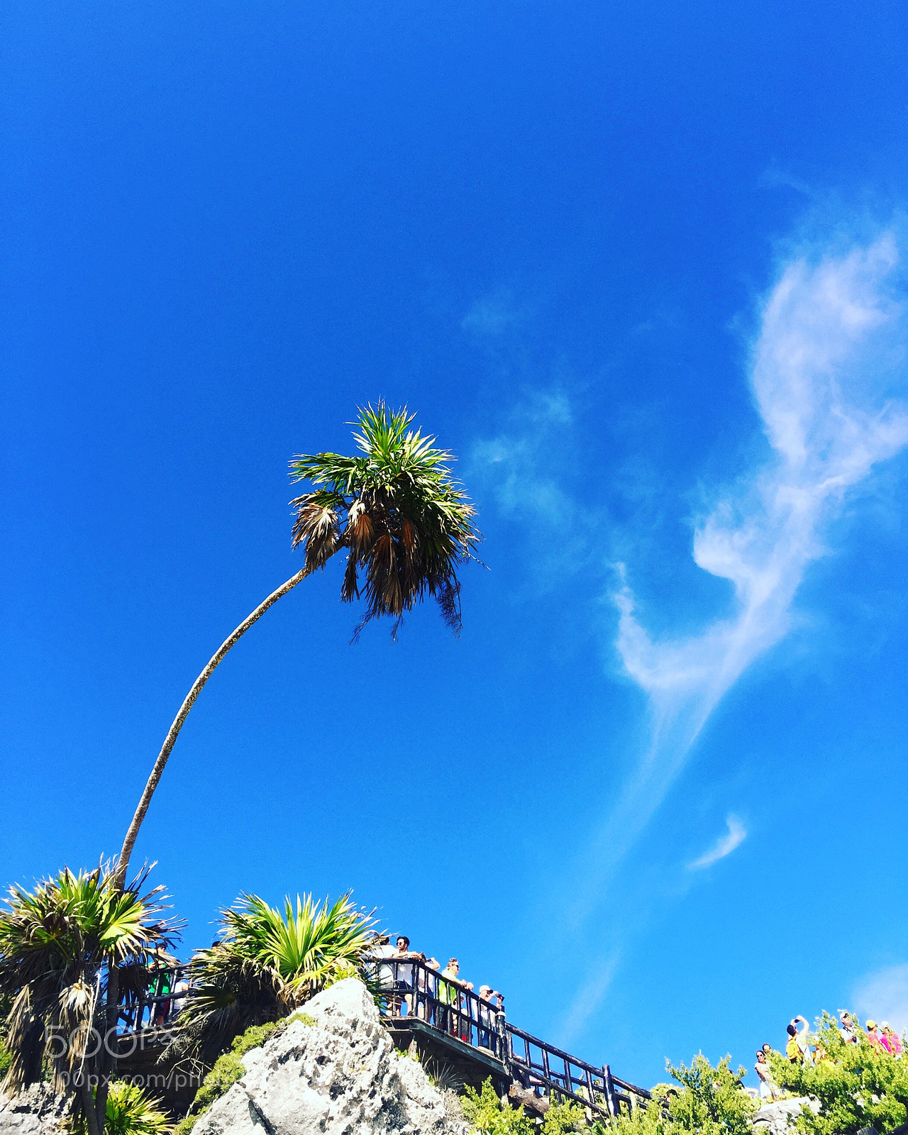 Apple iPhone 6 Plus sample photo. Under blazing hot sun photography