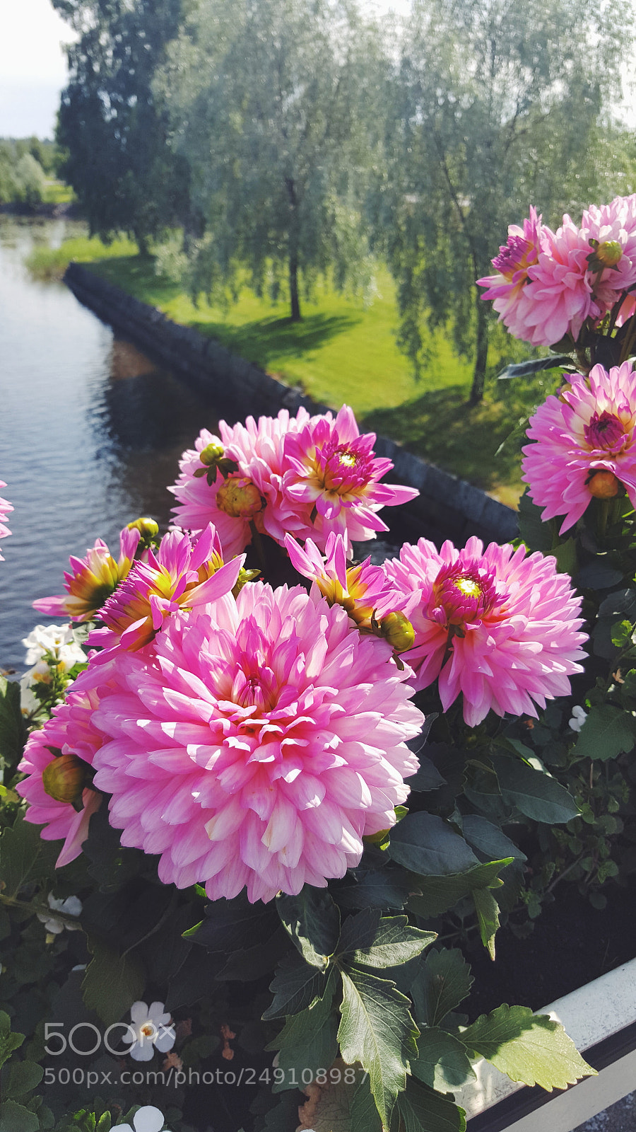 Samsung Galaxy S6 sample photo. Processed with vsco with photography