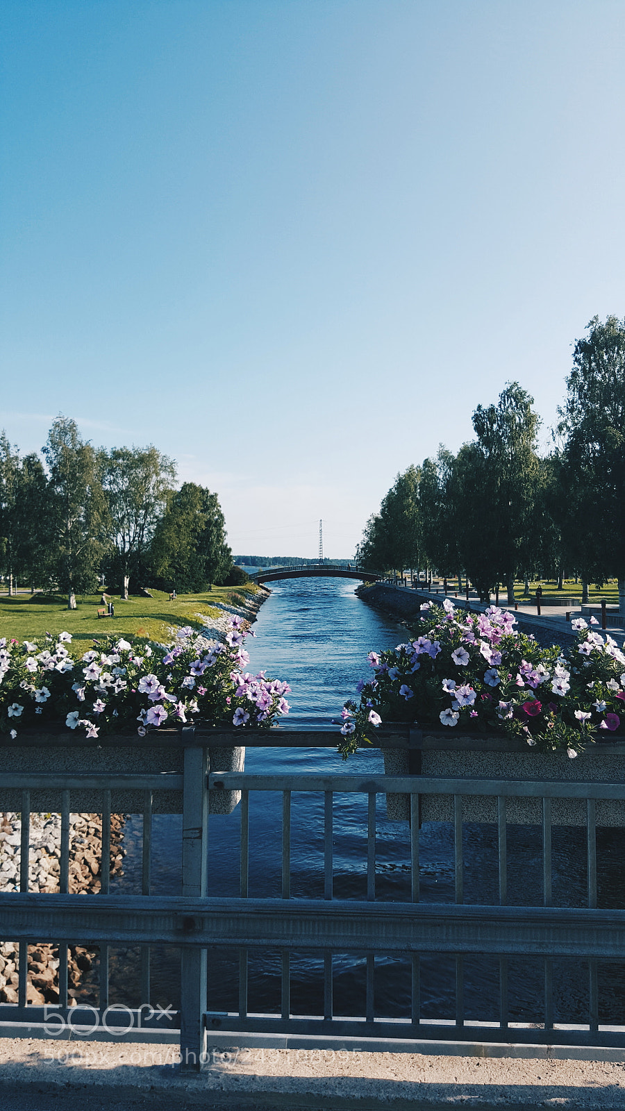 Samsung Galaxy S6 sample photo. Flowers by the canal photography