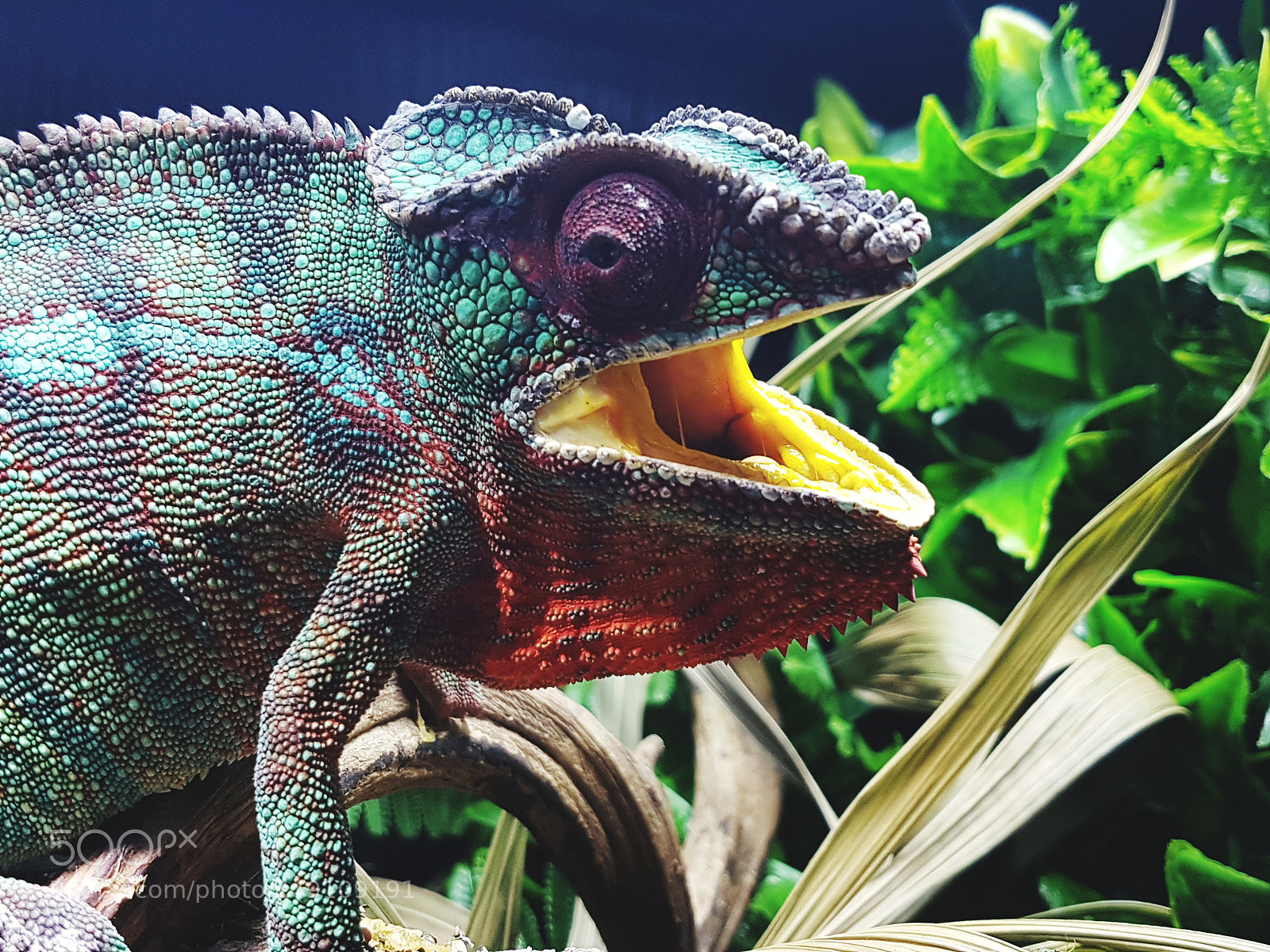 Samsung Galaxy S7 Edge sample photo. Untitled photography