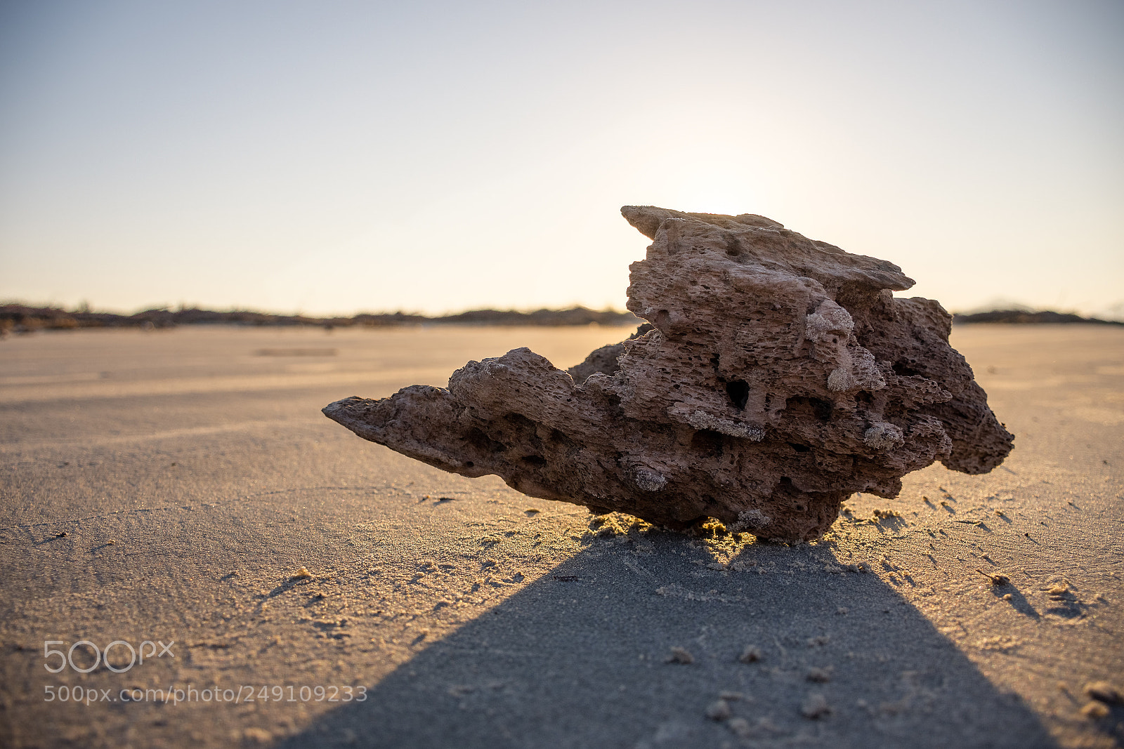 Nikon D7200 sample photo. Wood piece photography