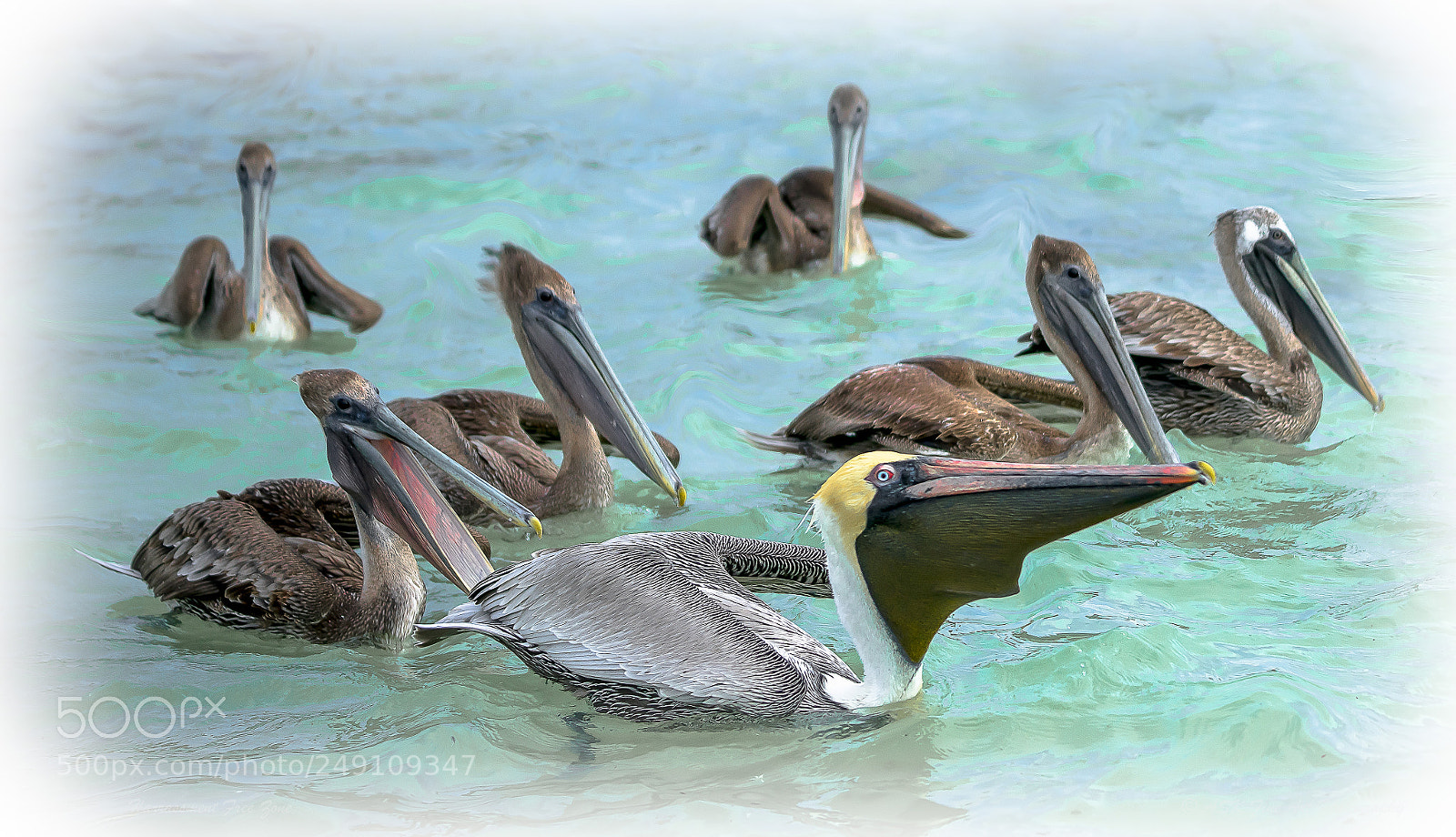 Sony a7 sample photo. Harrassment free zone photography