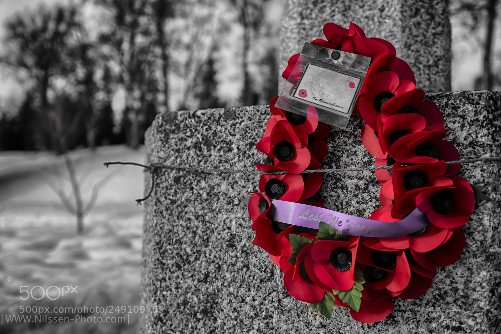 Nikon D500 sample photo. Lest we forget photography