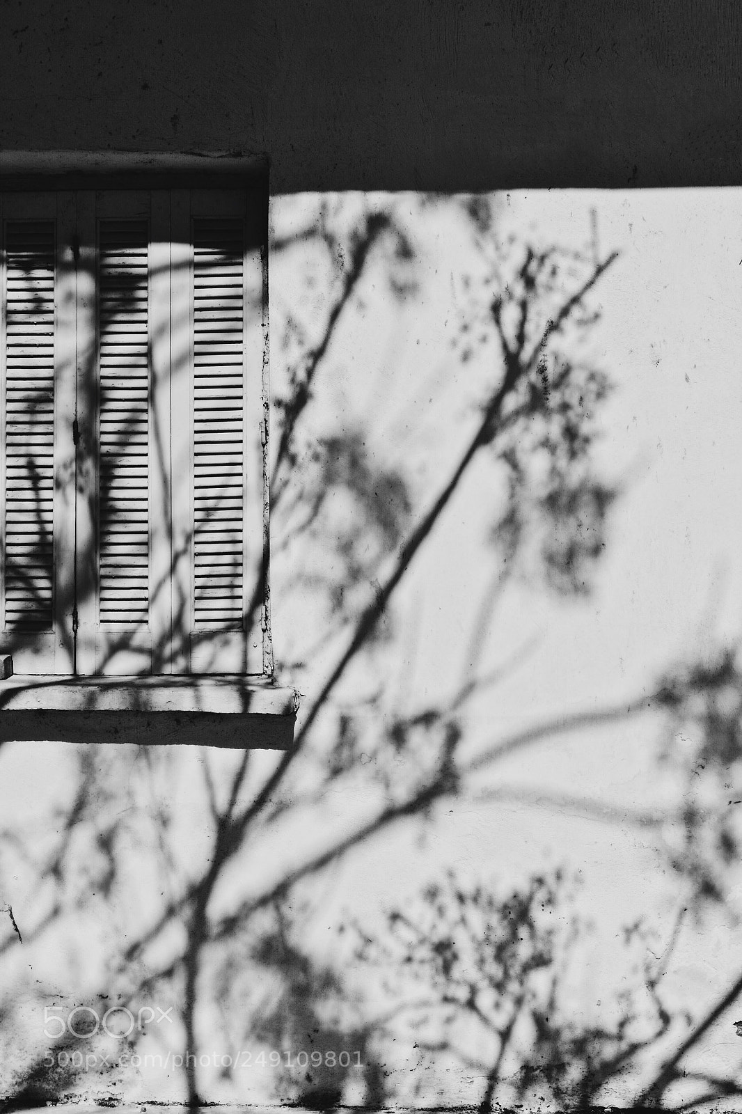 Nikon D3100 sample photo. "b&w pause".. photography