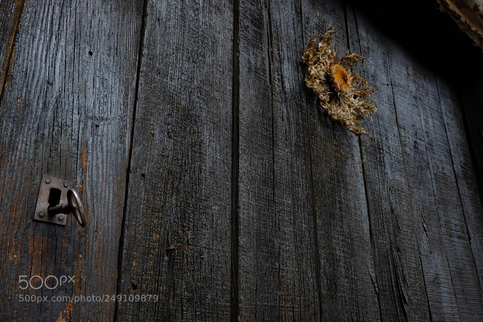 Fujifilm X-T20 sample photo. Untitled photography