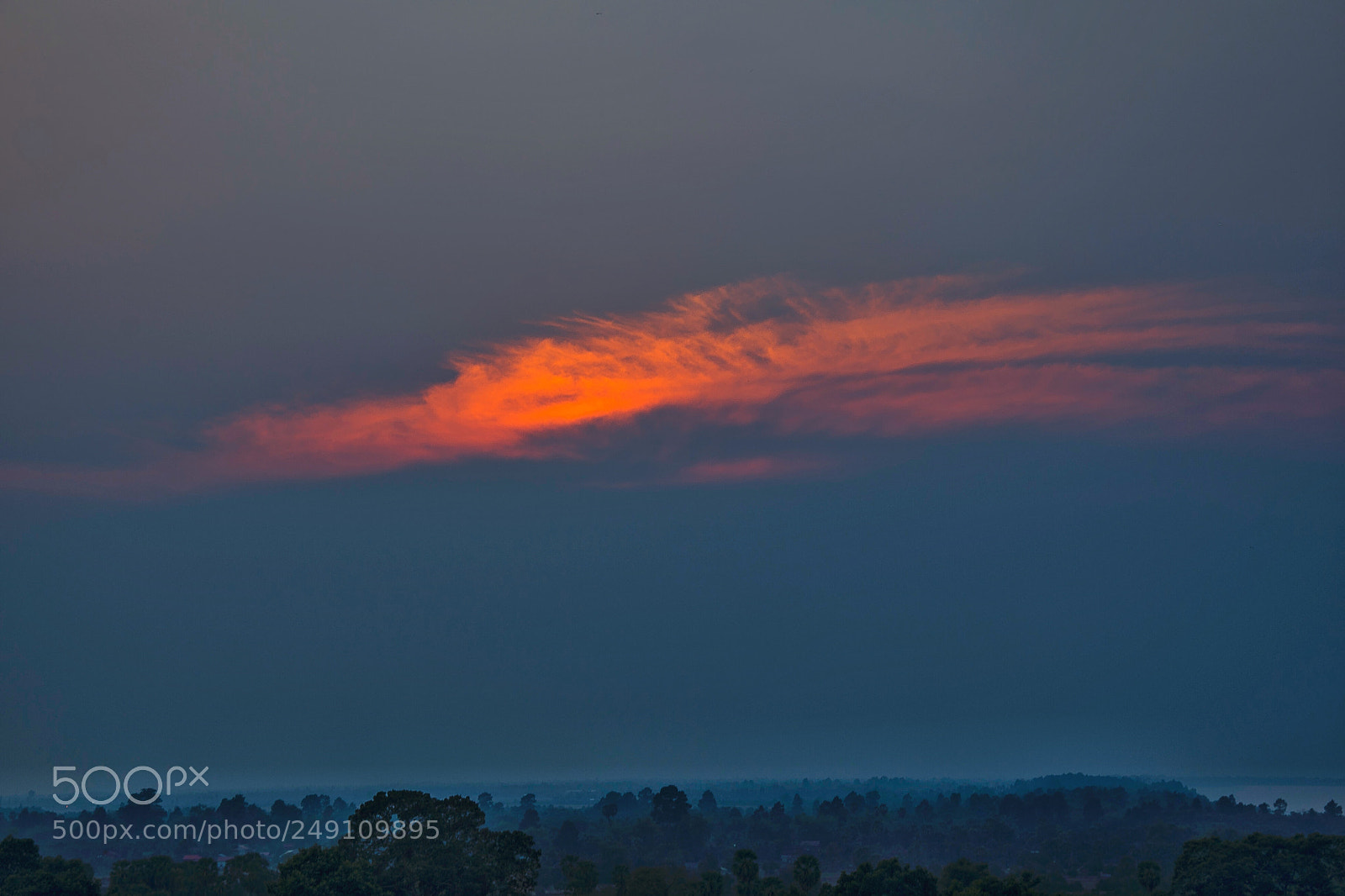 Nikon D610 sample photo. Untitled photography