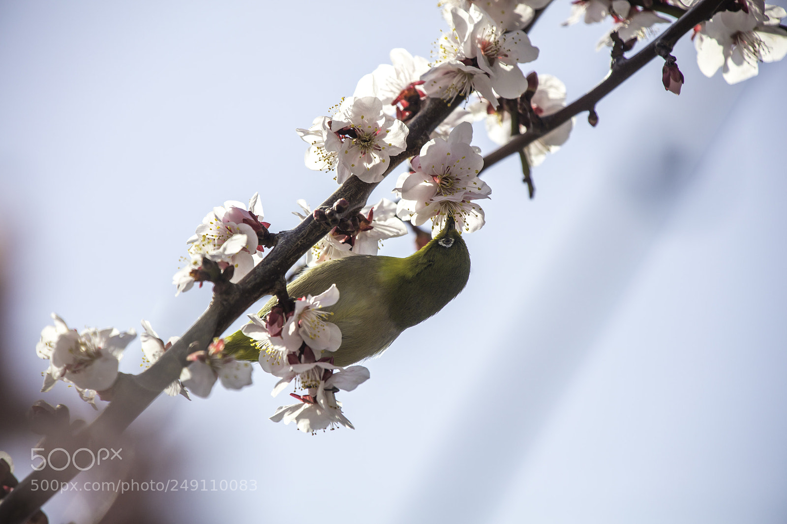 Canon EOS 5DS R sample photo. Lunchtime photography