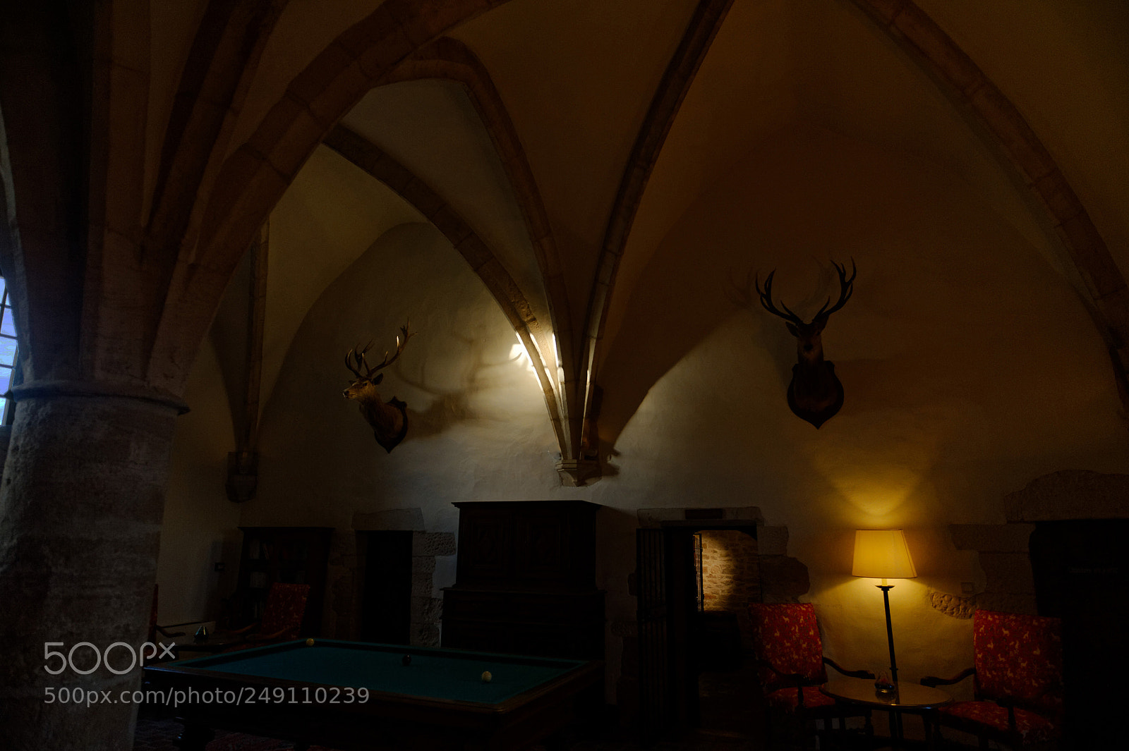 Nikon D3S sample photo. Castle of gilly photography
