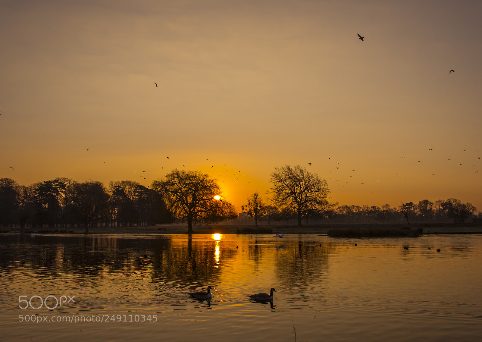 Nikon D500 sample photo. Winter sunrise photography