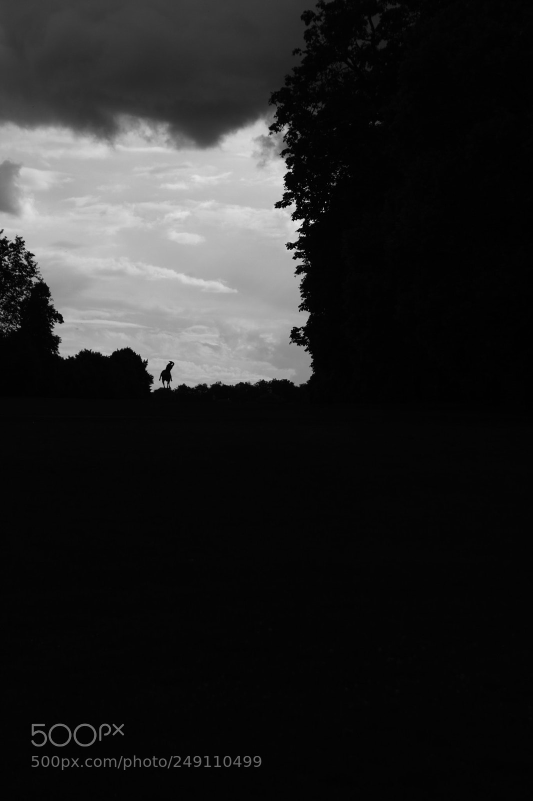Canon EOS 1000D (EOS Digital Rebel XS / EOS Kiss F) sample photo. Hyde park. london. photography