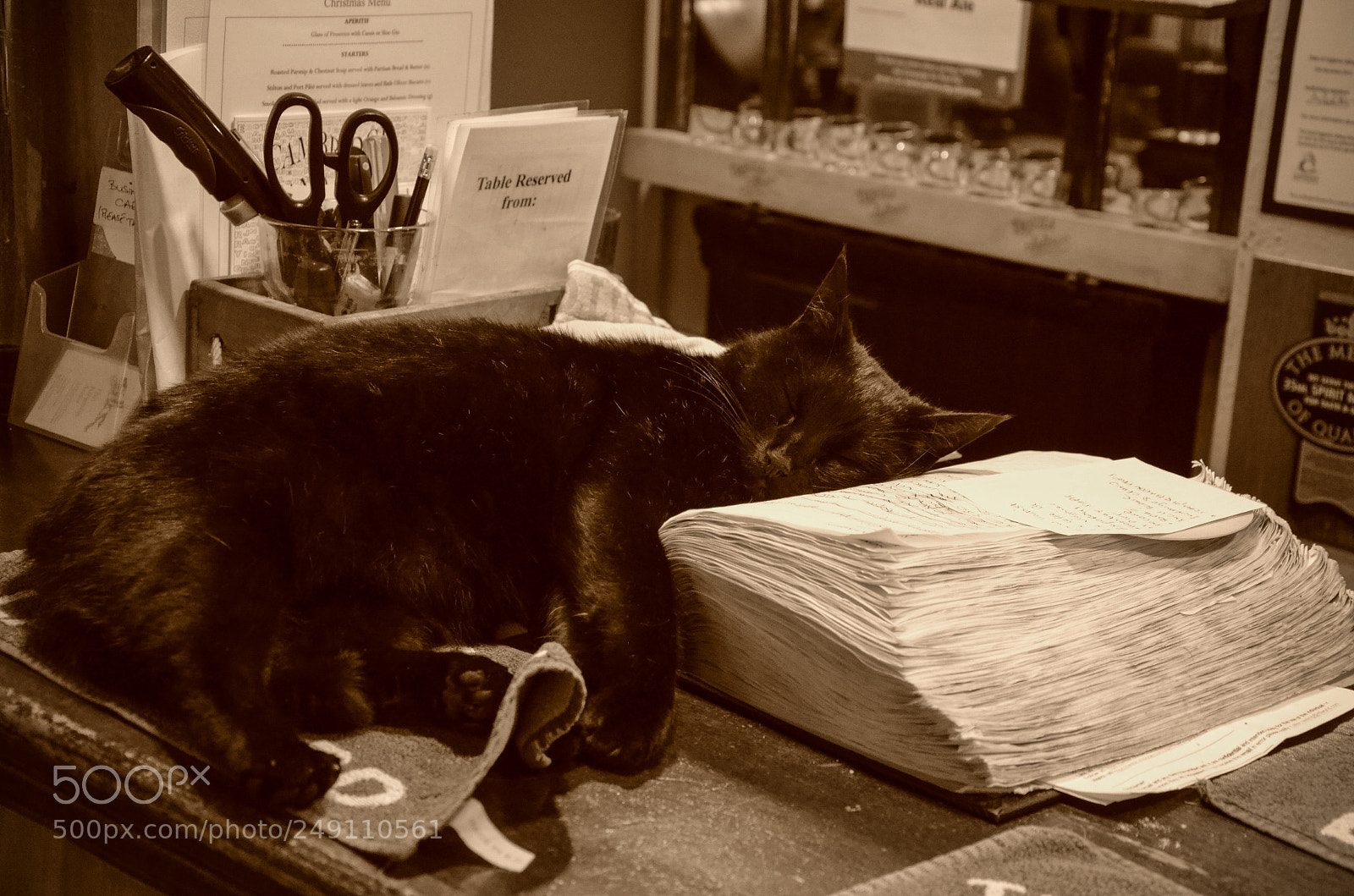 Nikon D5100 sample photo. Sleep reading photography