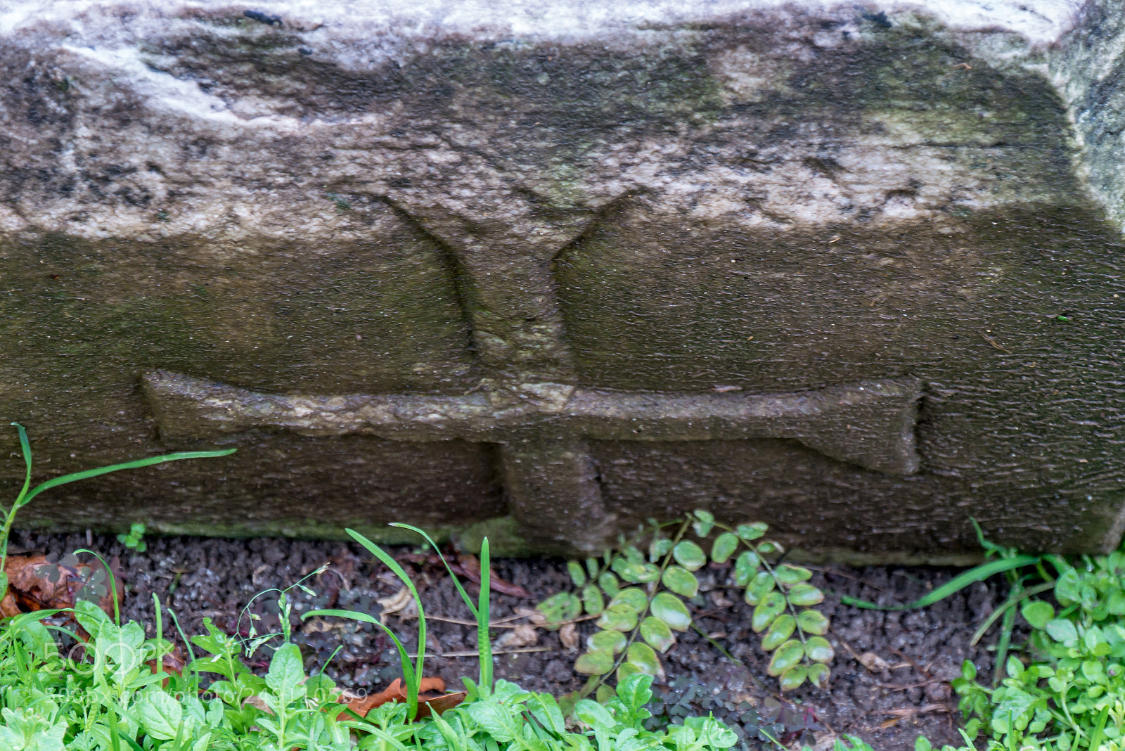Panasonic Lumix DMC-G85 (Lumix DMC-G80) sample photo. Ruined church photography