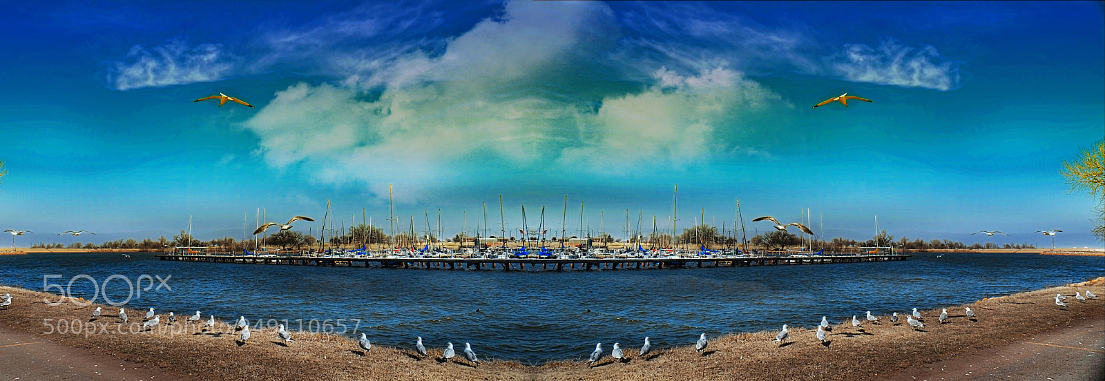 Fujifilm X-E1 sample photo. Feeling blue photography