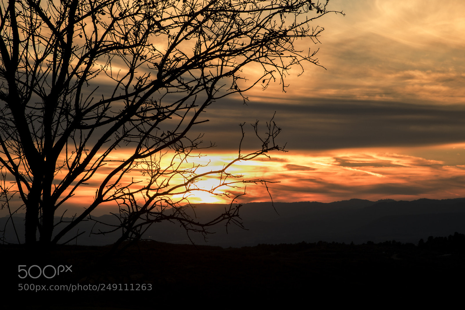 Canon EOS 750D (EOS Rebel T6i / EOS Kiss X8i) sample photo. Sunset silhouettes photography